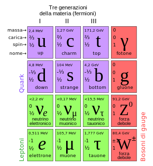 310px-Standard_Model_of_Elementary_Particles_it.svg.png