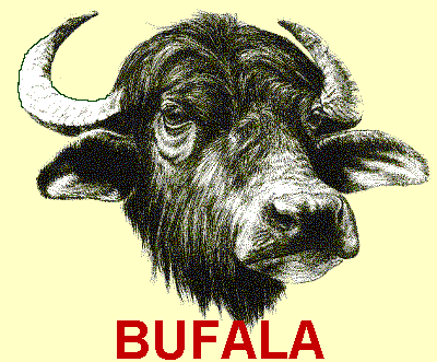 bufala2.gif