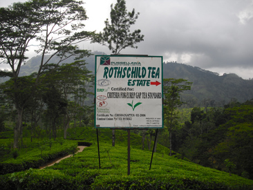 rothschild-tea-estate-small.jpg
