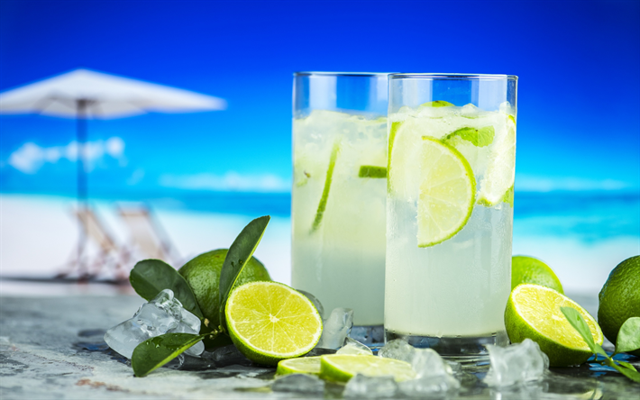 thumb2-mojito-summer-beach-cocktails-lemon-lime-fruit-citruses.jpg