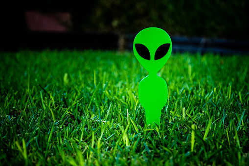 decorativo-verde-prato-aliens-gnome-extraterrestre-arrivo-in-darkness-yard-erba-verde.jpg