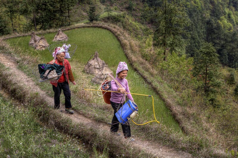 due-contadini-cinesi-delle-donne-agricoltori-vanno-sul-lavoro-di-campo-53197031.jpg
