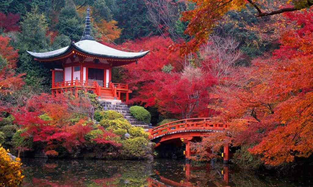 foliage-giappone-kyoto-tempio-Daigo-ji-bis.jpg