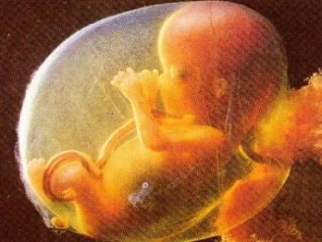 feto-12-settimana-foto.jpg